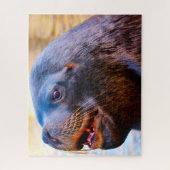 Zee Lions Legpuzzel (Verticaal)