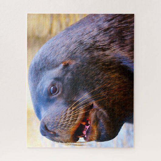 Zee Lions Legpuzzel (Verticaal)