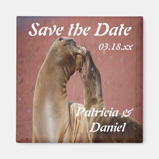 Zee Lions Magneet (Voorkant)