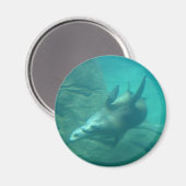 Zee Lions Round Magnet (Voorkant / Achterkant)