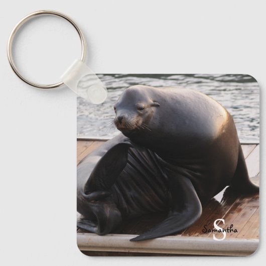Zee-liontoetsenbord Sleutelhanger (Voorkant)