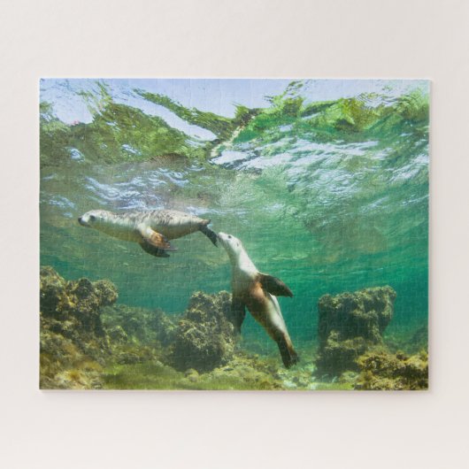 Zee Lons Puzzle Legpuzzel (Horizontaal)