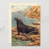  Zee Lood door de zeeoor, zeezoogdieren (Voorkant / Achterkant)