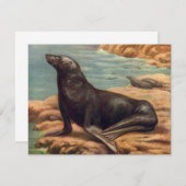 Zee Lood door de zeeoor, zeezoogdieren (Voorkant / Achterkant)