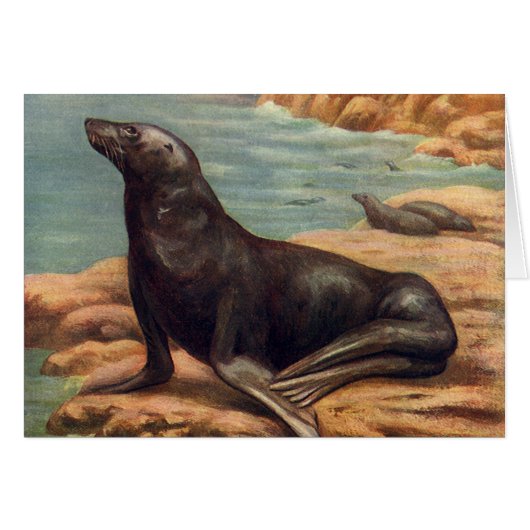  Zee Lood door de zeeoor, zeezoogdieren (Voorkant Horizontaal)