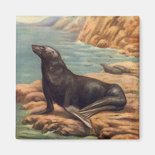  Zee Lood door de zeeoor, zeezoogdieren Magneet (Voorkant)