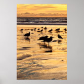 Zee loopt op zonsondergang naar het strand poster (Voorkant)