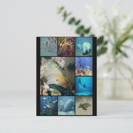 Zee maakt collage afdrukken briefkaart (Staand voorkant)