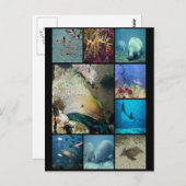 Zee maakt collage afdrukken briefkaart (Voorkant / Achterkant)