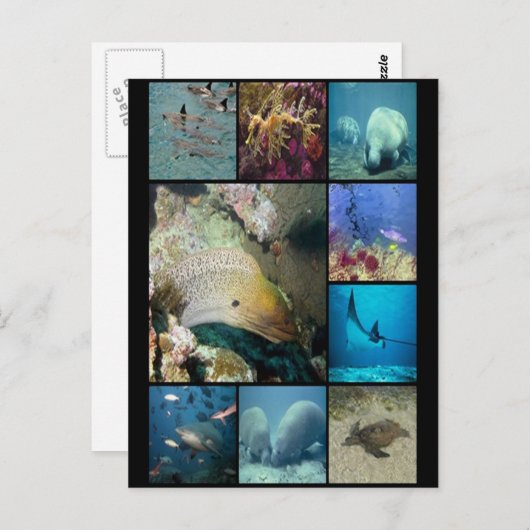 Zee maakt collage afdrukken briefkaart (Voorkant / Achterkant)