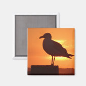 Zee meeuw bij zonsondergang magneet (Voorkant / Achterkant)