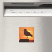 Zee meeuw bij zonsondergang magneet (Insitu (Vaatwasser))