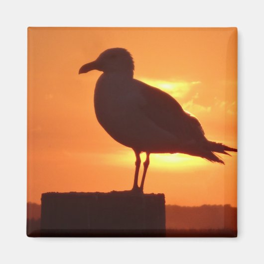 Zee meeuw bij zonsondergang magneet (Voorkant)