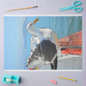 Zee meeuw cadeau tissuepapier (Craft)