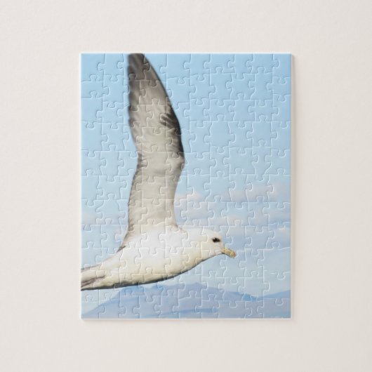 Zee Meeuw in Vlucht Puzzel (Verticaal)