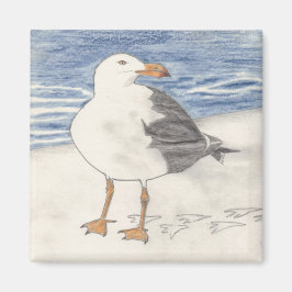 ZEE MEEUW magneet (vierkant)