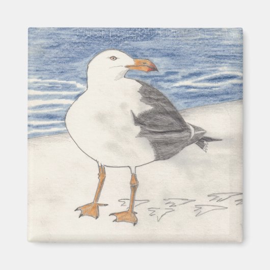 ZEE MEEUW magneet (vierkant) (Voorkant)