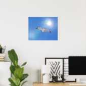 Zee meeuw vogel vliegende zon fotografische kunst  poster (Thuiskantoor)