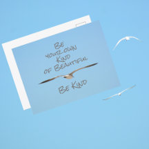 Zee Meeuw Wees Je Eigen Soort Mooi Wees Aardig