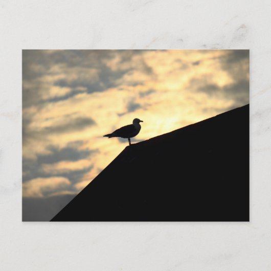 Zee Meeuw Zonsondergang Briefkaart (Voorkant)
