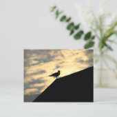 Zee Meeuw Zonsondergang Briefkaart (Staand voorkant)