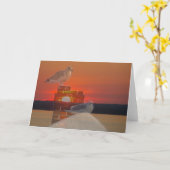 Zee Meeuw Zonsondergang Kaart (Gele Bloem)