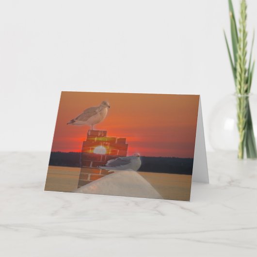 Zee Meeuw Zonsondergang Kaart (Voorkant)