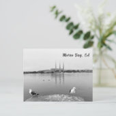 Zee Meeuwen in Morro Bay Californië Briefkaart (Staand voorkant)