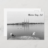 Zee Meeuwen in Morro Bay Californië Briefkaart (Voorkant / Achterkant)