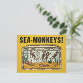 Zee Monkeys Briefkaart (Staand voorkant)