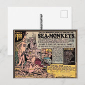 ZEE-MONKEYS  Briefkaarten (Voorkant / Achterkant)