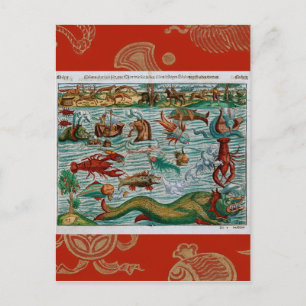  Zee Monsters Briefkaart