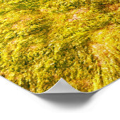 Zee Mos Abstract Goudgeel Groen Kunststof Cadeau Poster (Hoek)
