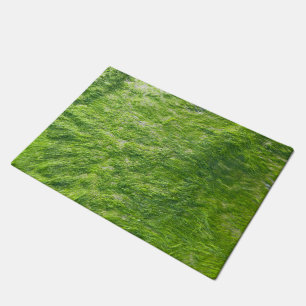Zee Mos Groen Natuur Grass Beach Nautisch Deurmat