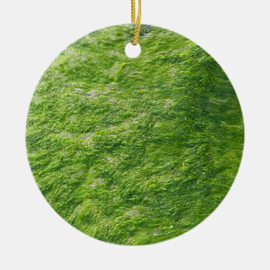 Zee Mos Groen Natuur Grass Beach Nautisch Keramisch Ornament (Voorkant)
