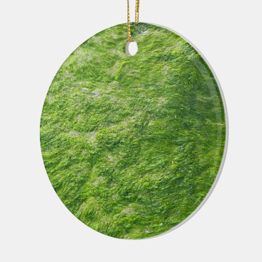 Zee Mos Groen Natuur Grass Beach Nautisch Keramisch Ornament (Links)