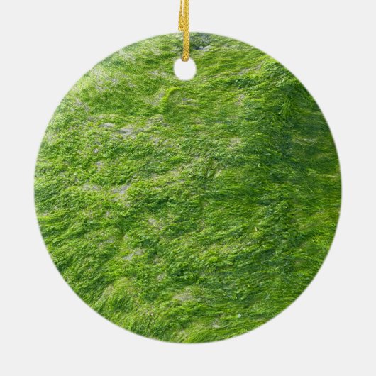 Zee Mos Groen Natuur Grass Beach Nautisch Keramisch Ornament (Achterkant)