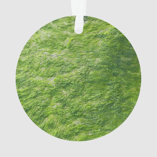 Zee Mos Groen Natuur Grass Beach Nautisch Ornament (achterkant)