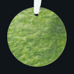 Zee Mos Groen Natuur Grass Beach Nautisch Ornament<br><div class="desc">Ontworpen met koele strandfoto van zee mos!</div>