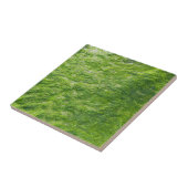 Zee Mos Groen Natuur Grass Beach Nautisch Tegeltje (Zijkant)