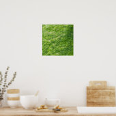 Zee Moss Groene Natuur Schilderachtig Nautische Ku Poster (Keuken)