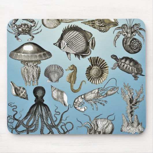 Zee Muismat (Voorkant)