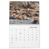 Zee - Muurkalender Kalender (Feb 2027)