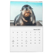 Zee - Muurkalender Kalender (Mar 2027)