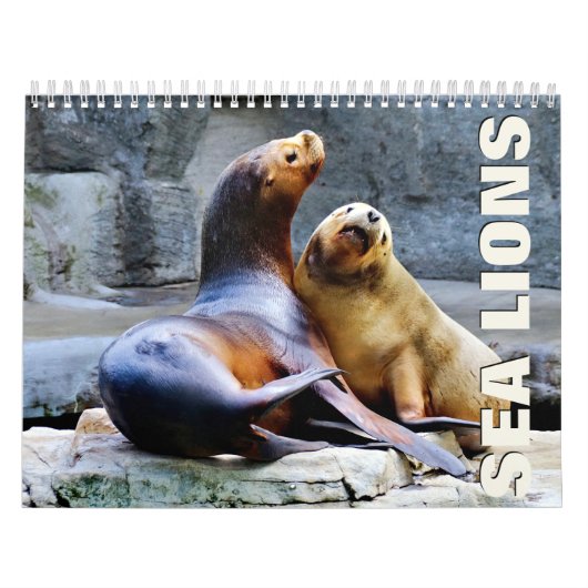 Zee - Muurkalender Kalender (Hoes)