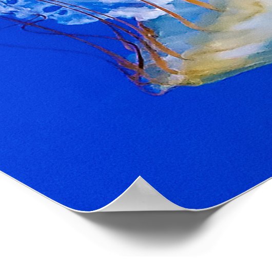 Zee Netten Poster (Hoek)