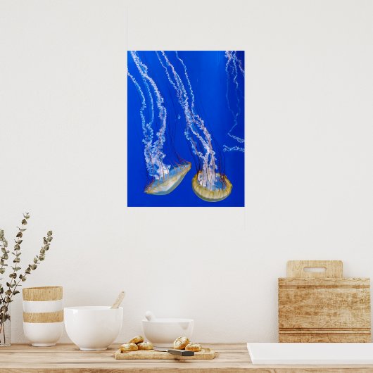 Zee Netten Poster (Keuken)