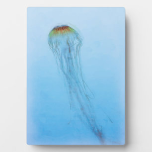 Zee Nettle Fotoplaat