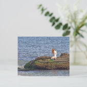 Zee Nymph Briefkaart (Staand voorkant)