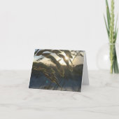 Zee Oats briefkaart (Voorkant)